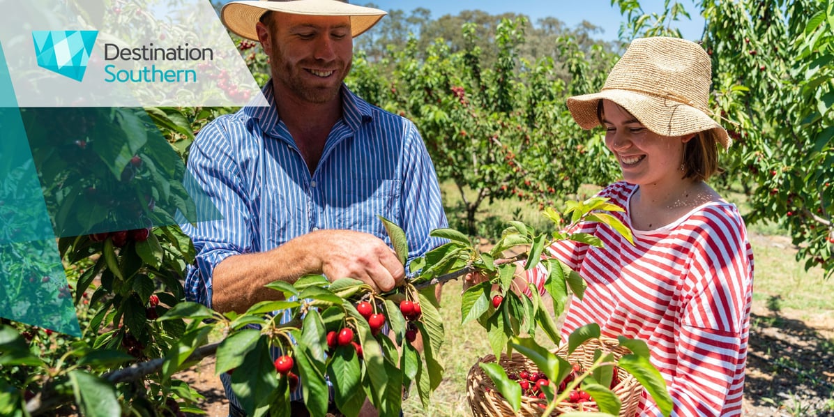 Couple enjoying a day of cherry picking at Ballinaclash Food and Wine, Young
